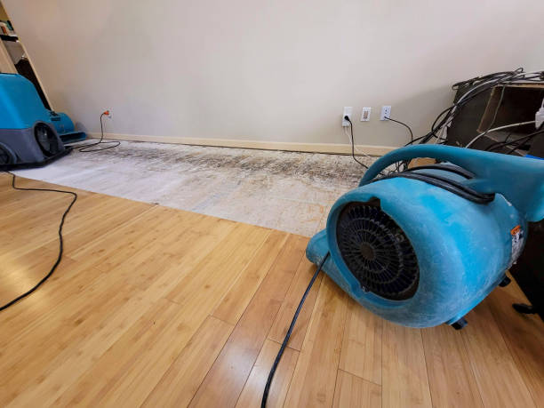Professional Burst Pipe Water Damage technician working in Barry, IL